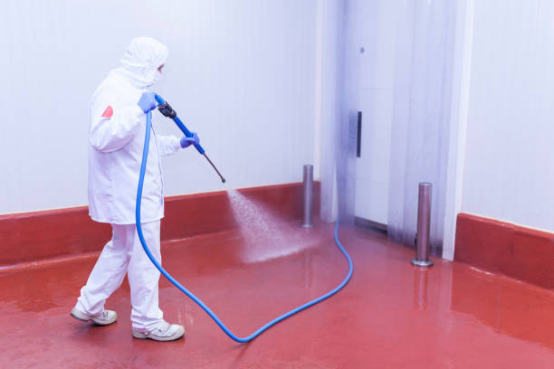 Professional Pressure Washing Services in Pleasant Valley, WV